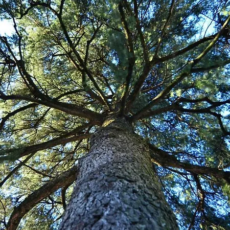 Bilocale Tranquillo E Funzionale, Ideale Per Soggiorni Di Lavoro Vignola