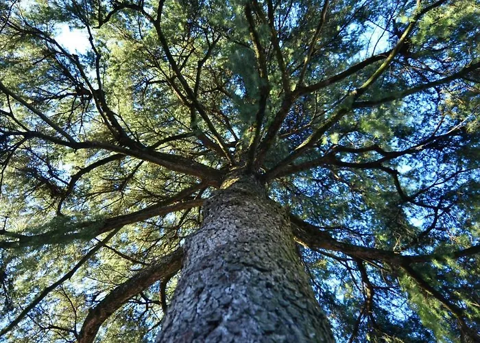 Bilocale Tranquillo E Funzionale, Ideale Per Soggiorni Di Lavoro Vignola (Emilia-Romagna)